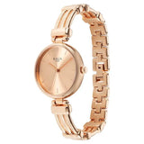 NS95263WM01 Titan Raga  Rose Gold Dial Metal Strap Watch for Women