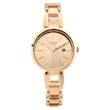 Raga Viva Rose Gold Dial Metal Strap Watch | Titan - Bharat Time Style