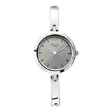 Titan Raga Viva Analog Silver Dial Women's Watch-2606SM05 - Bharat Time Style