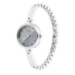 Titan Raga Viva Analog Silver Dial Women's Watch-2606SM05 - Bharat Time Style