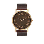 Titan Analog Brown Dial Men's Watch NL1595WL03/NN1595WL03 - Bharat Time Style